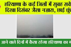 Haryana Weather: हरियाणा के इन जिलों में सुबह सवेरे दिखा दिसंबर जैसा नजारा, छाई धुंध