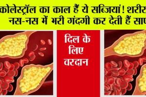 High Cholesterol: कोलेस्ट्रॉल का काल हैं ये सब्जियां! शरीर की नस-नस में भरी गंदगी कर देती हैं साफ