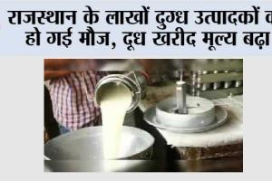 राजस्थान के लाखों दुग्ध उत्पादकों की हो गई मौज, दूध खरीद मूल्य बढ़ा