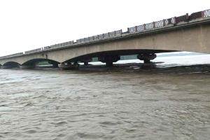 Yamuna River: कैराना में उफान पर पहुंची यमुना, सैकड़ों बीघा फसल जलमग्न