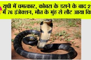 Snake Bite: यूपी में चमत्कार, कोबरा के डसने के बाद 2 घंटे में 76 इंजेक्शन, मौत के मुंह से लौट आया किशोर