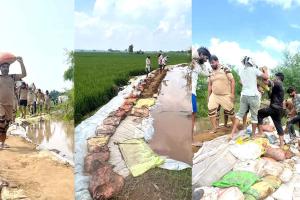 गुहला के रताखेड़ा में घग्गर के 440 फुट लंबे ओर 10 फुट ऊंचे बांध को सेवादारों ने बांधा, डूबने से बचाई हजारों एकड़ फसल