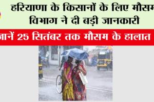 Haryana Weather: मौसम विभाग ने हरियाणा के किसानों को दी बड़ी जानकारी, जानें 25 सितंबर तक मौसम के हालात