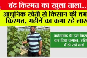 बंद किस्मत का खुला ताला…! आधुनिक खेती से फतेहाबाद के किसान की चमकी किस्मत, महीनें का कमा रहे लाखों