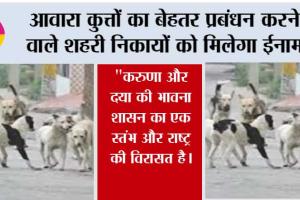 आवारा कुत्तों का बेहतर प्रबंधन करने वाले शहरी निकायों को मिलेगा ईनाम
