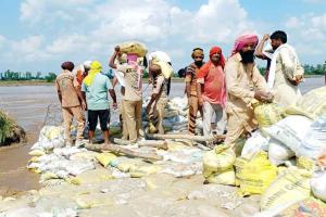 Satluj Bandh: दो दिन की कड़ी मशक्कत से डेरा सच्चा सौदा के सेवादारों ने सतलुज बांध में दरार को भरा