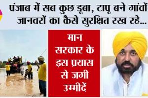 Punjab Flood: पंजाब में सब कुछ डूबा, टापू बने गांवों में जानवरों का कैसे सुरक्षित रख रहे, मान सरकार के इस प्रयास से जगी उम्मीदें