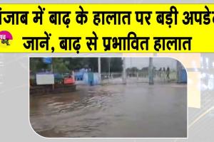 Punjab flood latest Update: पंजाब में बाढ़ के बाद के हालात हुए अपडेट, देखें पंजाब सीमा पर बाढ़ का असर