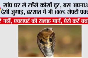 Snake News: सांप घर से रहेंगे कोसों दूर, बस अपनाओ ये देसी जुगाड़, बरसात में भी 100% सेफ्टी पक्की! –