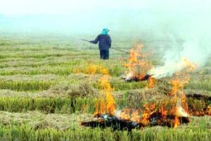 डीसी ने किया पराली के उचित निपटान का आह्वान