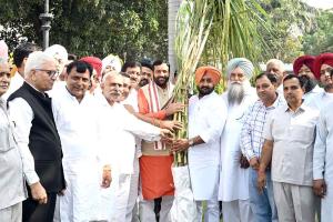 Sugarcane: गन्ना का एमएसपी बढ़ाने पर किसानों ने मुख्यमंत्री का जताया आभार