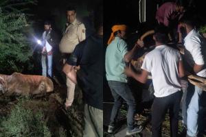 Hanumangarh: हनुमानगढ़ के पुलिस कर्मियों ने घायल गोवंश को पहुंचाया गोशाला