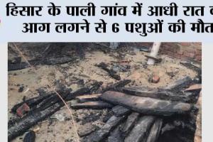 हिसार के पाली गांव में आधी रात को आग लगने से 6 पशुओं की मौत