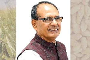 केन्द्र सरकार ने पंजाब में गेहूं के बीज की मुफ्त आपूर्ति के लिए जारी किए 74 करोड़ रू.: चौहान