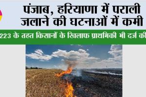 Air Pollution: पंजाब, हरियाणा में पराली जलाने की घटनाओं में कमी