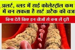 Cholesterol: ब्लड में हाई कोलेस्ट्रॉल कम उम्र में बन सकता है हार्ट अटैक की वजह, बिना देरी किए इन चीजों से बना लें दूरी