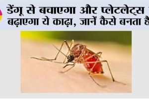 Dengue: डेंगू से बचाएगा और प्लेटलेट्स भी बढ़ाएगा ये काढ़ा, जानें कैसे बनता है….