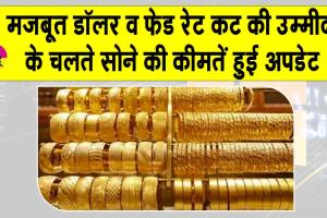 Gold Price Today: सोने और चांदी की कीमतों में आई बड़ी गिरावट, मजबूत डॉलर और फेड रेट कट की उम्मीदों का असर