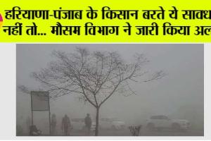 Haryana Punjab Weather: हरियाणा-पंजाब के किसान बरते ये सावधानी नहीं तो… मौसम विभाग ने जारी किया अलर्ट –