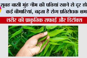 Health Tips: सुबह बासी मुंह नीम की पत्तियां खाने से दूर होती हैं कई बीमारियां, बढ़ता है रोग प्रतिरोधक क्षमता