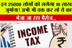Income Tax News: इन 25000 लोगों को लगेगा 10 लाख का जुर्माना! अभी भी वक्त कर लो ये काम