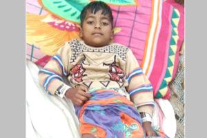 तीतरवाडा में सात वर्षीय मासूम पर छोड़ दिया पालतू कुत्ता, गम्भीर