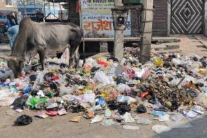 शिक्षण संस्थान, अस्पताल और न्यायलय के पास नहीं बनेगा डंपिंग ग्राउंड