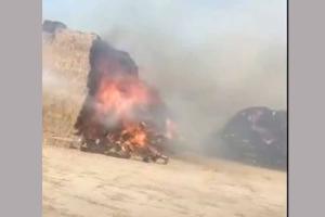 पोलड़ और कांगथली के बीच लाखो की पराली जली