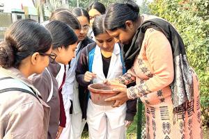 190 स्थानों पर मिला डेंगू का लारवा