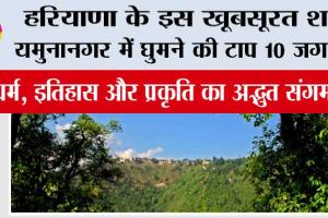 हरियाणा के इस खूबसूरत शहर यमुनानगर में घुमने की टाप 10 जगह…