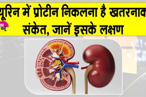 Proteinuria Symptoms: कहीं आपके यूरिन में भी प्रोटीन तो नहीं निकल रहा, जानें कितना है ये खतरनाक?