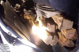 डारपुर–इब्राहिमपुर जंगल से खैर की लकड़ी काटकर ले जा रहे थे तस्कर, वन विभाग की नाकाबंदी में कार जब्त, आरोपी फरार