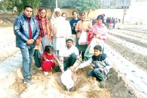 Dabwali: सचखंडवासी डबवाली के अश्वनी इन्सां की अस्थियों पर परिजनों ने लगाया पौधा