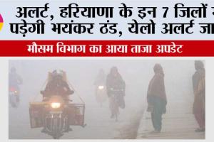 Haryana Weather: अलर्ट, हरियाणा के इन 7 जिलों में पड़ेगी भयंकर ठंड, येलो अलर्ट जारी, सबसे ठंडा रहा हिसार जिला
