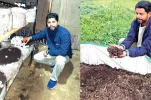 National Farmers Day 2025: जसविंद्र सिंह, लॉकडाउन में शुरू की मशरूम की खेती से चढ़ रहे सफलता की सीढ़ियां