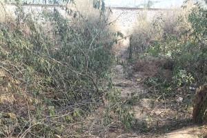 रेलवे ट्रैक के पास झाड़ियों में मिला युवक का शव, शिनाख्त नहीं