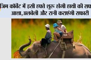 Uttarakhand: कॉर्बेट पार्क में इसी हफ्ते से शुरू होगी हाथी सफारी, आशा,अलबेली और रानी कराएंगी सफारी