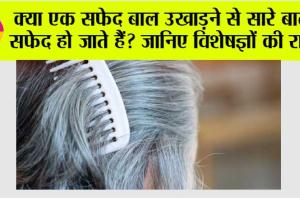 White Hair: क्या एक सफेद बाल उखाड़ने से सारे बाल सफेद हो जाते हैं? जानिए विशेषज्ञों की राय