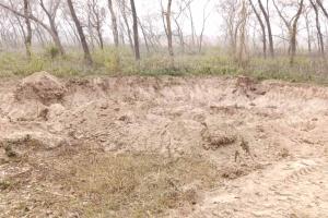 मानकपुर में पंचायती जंगल से शीशम के अवैध कटान के बाद अवैध खनन, एसडीएम ने सूचना के बाद दिए कार्रवाई के आदेश