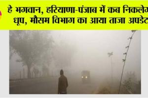 Haryana Punjab Weather: हे भगवान, हरियाणा-पंजाब में कब निकलेगी धूप, मौसम विभाग ने दे दी जानकारी