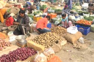 नई सब्जी मंडी की चारदीवारी का कार्य पूरा, शेड का निर्माण जारी 