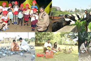 Welfare Works: एशिया एवम इंडिया बुक रिकॉर्ड होल्डर रेनु इन्सां ने शादी की खुशी में किये मानवता भलाई के अनोखे सेवा कार्य