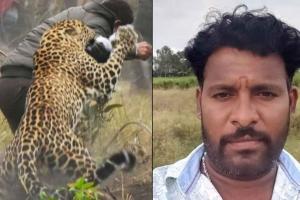 Leopard Attacked: पहाड़ी मंदिर पर तेंदुए का तीर्थयात्री पर हमला, अफरा-तफरी में सभी एक दूसरे से बिछुड़े