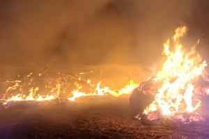 Fire: बनियावाला में अज्ञात कारणों से लगी भूसे की छान में आग 6 छान आई चपेट में आग लगाने वाले संदिग्ध की पुलिस को दी शिकायत