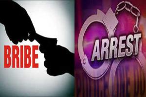 Bribe: रिश्वत लेते पटवारी गिरफ्तार