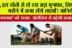 Business Idea: इस खेती से हो रहा बड़ा मुनाफा, सिर्फ 2 महीने में कमा लेंगे लाखोें! जानिये