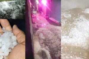 आफत बनकर आसमान से बरसी बर्फ घरौंडा क्षेत्र में आधी रात को बरसे ओले, खेतों में बिछी सफ़ेद बर्फ की चादर और सरसों की फसलों को नुकसान, सब्जियों पर भी पड़ी मार, तापमान में आई गिरावट