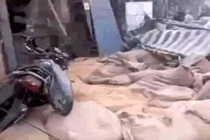 भारत नगर चौक पर खौफनाक हादसा, पुल से गिरीं पचास किलो की बोरियां, दो कारें व एक बाईक क्षतिग्रस्त