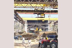 गन्ना किसानों को बड़ी राहत-14 जनवरी 2026 तक भुगतान पूर्ण, मिल प्रशासन ने किसानों से किया अनुरोध नारायणगढ़ शुगर मिल में ही सप्लाई करे गन्ना