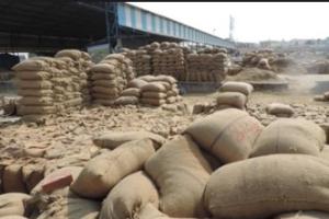 Rice Theft Case: चावल चोरी मामले में तीन प्रवासी गिरफ्तार